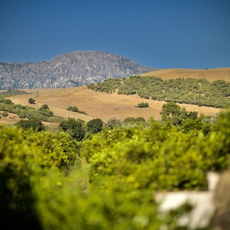 Finca Los Pajaros San Pablo المظهر الخارجي الصورة