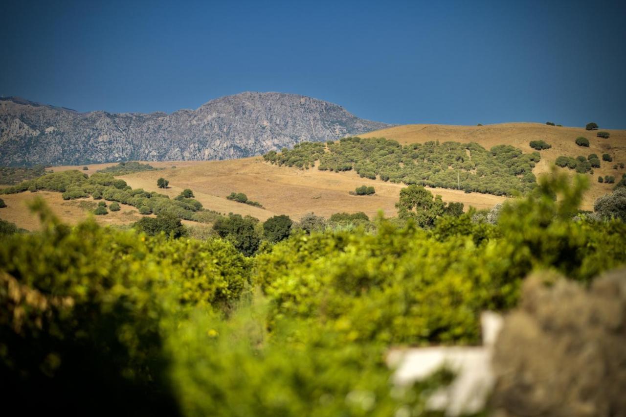 Finca Los Pajaros San Pablo المظهر الخارجي الصورة